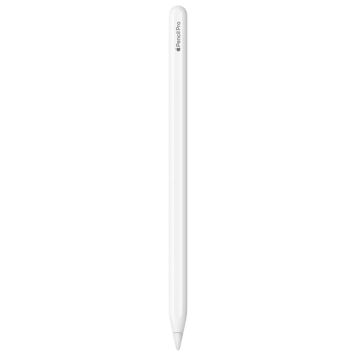 Apple Pencil Pro 未使用 3月購入 未使用に近い 2025年3月購入品 付属品有り Apple Pencil Pro アップル