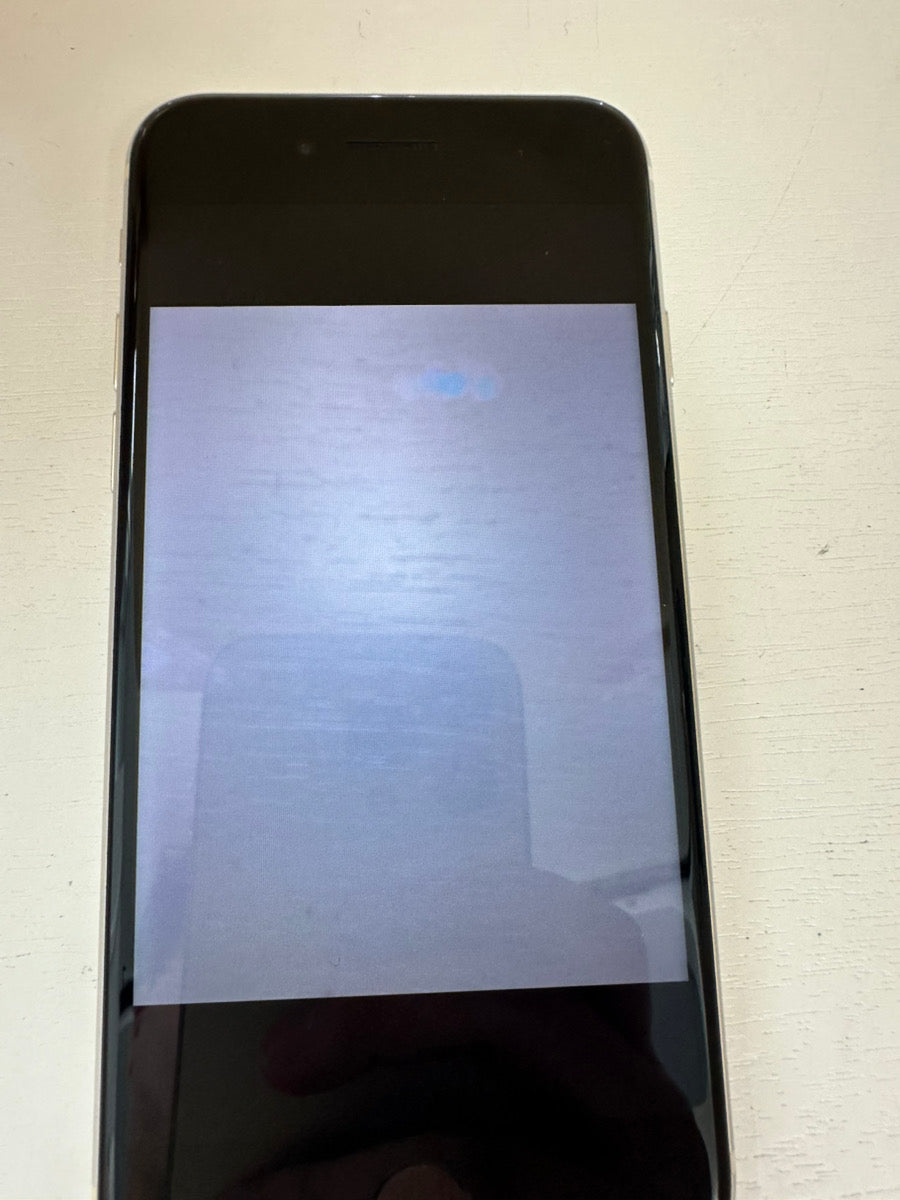 iPhone SE (第3世代) 64GB ホワイト 訳あり品