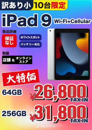 【訳あり・保証無し】iPad 9 （2021年） Wi-Fi+Cellular 64/256GB