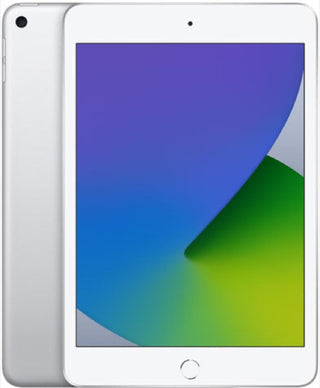 iPad mini 5 （2019年） Wi-Fi 64GB シルバー Cランク