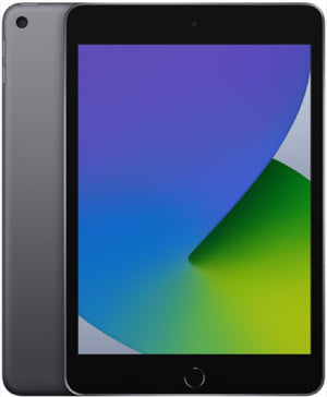 iPad mini 5 （2019年） Wi-Fi 64GB スペースグレイ Aランク