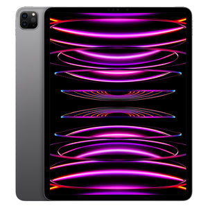 iPad Pro 12.9インチ 第6世代（2022年） Wi-Fi+Cellular 128GB スペースグレイ Sランク
