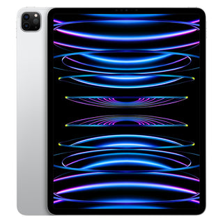 iPad Pro 12.9インチ 第6世代（2022年） Wi-Fi+Cellular 128GB シルバー Sランク